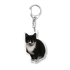 maricoの福猫　のあちゃんのアクキー Acrylic Key Chain