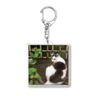 travelohayuの振り返り美猫図 Acrylic Key Chain