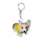 corgimaniaのコーギーbelle_3 アクリルキーホルダー