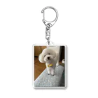 eluberryのTOYザラス Acrylic Key Chain