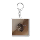 ネモちゃんのおうちのネモちゃんアイテム Acrylic Key Chain