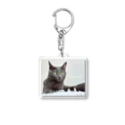 ねこほうチャンネル公式グッズのおしゃれハムちゃん Acrylic Key Chain