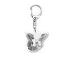 HIDDEN MOON-ARIAKEの16 Acrylic Key Chain