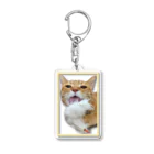 motikiro2の猫じゃらしなめてるどんくさ Acrylic Key Chain