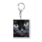 YSD-yamatoのPrettyCat　ヤマト Acrylic Key Chain