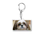 シーズー犬ふくちゃんのお店の癒しのふくちゃん Acrylic Key Chain