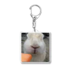 瀬戸内うさぎ商店のうさぎさんのお鼻のY Acrylic Key Chain