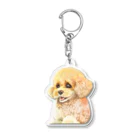 K&M(かむ)のトイプードル Acrylic Key Chain