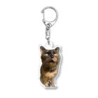 shop さびにすとのサビ猫みやびちゃん Acrylic Key Chain