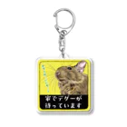 a.m　factoryの家でデグーが待ってまいます Acrylic Key Chain