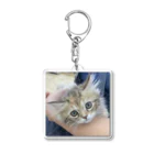 にゃんこの「めめたん」グッズのりんりん Acrylic Key Chain