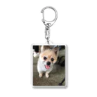 チワワの実夕ちゃんと保護犬保護猫ちゃん達の保護犬のふぅちゃん Acrylic Key Chain