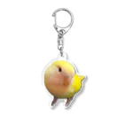 わんぬのチノちゃんアクキー Acrylic Key Chain