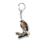 Anifun  shopのAnifun×bard キーホルダー Acrylic Key Chain