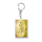 金運波動の金運波動　金運上昇、金運守護 Acrylic Key Chain