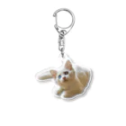 エマメ本舗のオッドアイの白猫エマメちゃんグッズ Acrylic Key Chain