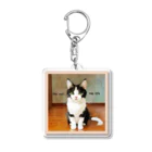 espogifu_ネコグッズのno cat no life Acrylic Key Chain