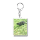 天光のねこ部屋の黒猫カカオの庭 Acrylic Key Chain