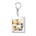 天光のねこ部屋のココアさんはお勉強中(笑) Acrylic Key Chain