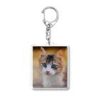 猫アートグッズのAdina Voicu 《Tabby cat with blue eyes》 Acrylic Key Chain