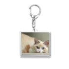 SUGARのsleep on a shelf Acrylic Key Chain