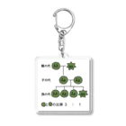 Tシャツで学ぼうのメンデルの法則を学ぼう Acrylic Key Chain