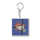 やちよ｜リアル鳥イラストのはちまき鳥_カシラダカさん Acrylic Key Chain