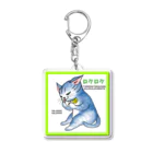 【コココットン】ロクの座りガジガジ Acrylic Key Chain