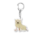 kobekoseienのやぶいぬさん Acrylic Key Chain