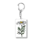 ペンで描く植物の詩のchamomile(カラー) Acrylic Key Chain