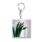 035ザッカテンのtulip Acrylic Key Chain