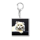 Animal-goodsのかわいい猫ちゃんの写真 Acrylic Key Chain