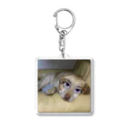 ねこノートの寝てる？犬 Acrylic Key Chain