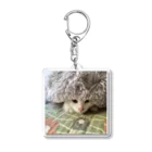 ねこノートのちらっと Acrylic Key Chain