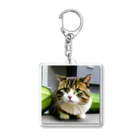 きじねこ屋のねこ ぐっず 4 Acrylic Key Chain