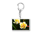 kamakiri3のFlower of the Heart　プルメリア Acrylic Key Chain