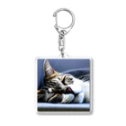 HYUGOの寝顔ドアップのキュートな猫 Acrylic Key Chain