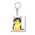 ✨そうのオリジナルグッズ✨の可愛らしい猫のイラストグッズ😸 Acrylic Key Chain