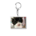 nekousagi*∩..∩の保護猫うるうるPちゃん Acrylic Key Chain