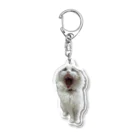 ぱわー!の飼い猫のグッズ10 Acrylic Key Chain