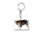 マスターPの小さい猫　ツブちゃん Acrylic Key Chain
