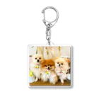 3pomeranian-leo-house　グッズショップのPomeranianlovers　ポメラニアン Acrylic Key Chain