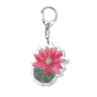 WAKE800のサボテン〜緋花玉〜 Acrylic Key Chain