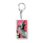 Grayの可愛げがあった頃の猫です｡ Acrylic Key Chain