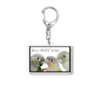 mariechan_koboの049 ウロコインコset シンプルフレームB Acrylic Key Chain