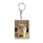 pet_daisukiのシーバ君 Acrylic Key Chain