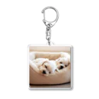 HoneyBabyのあなたの愛犬(おやすみマルチーズ) Acrylic Key Chain