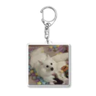 MIPA♥の愛犬パールグッズ　Mipa♥日本スピッツ Acrylic Key Chain