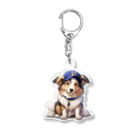 Sheltie Chic Creationsのシェルティ４０ Acrylic Key Chain