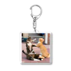 ume's shopの猫の喧嘩 Acrylic Key Chain